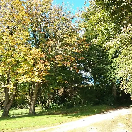 Willowfarmhouse *