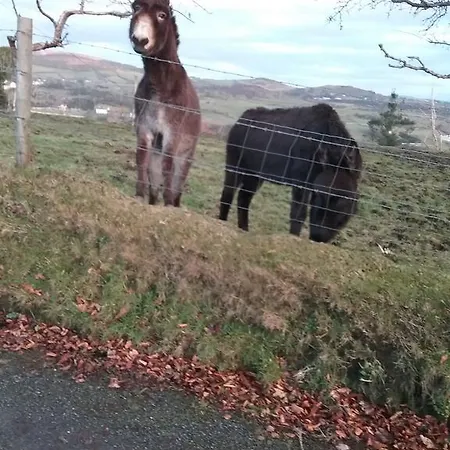 펜션 Willowfarmhouse *