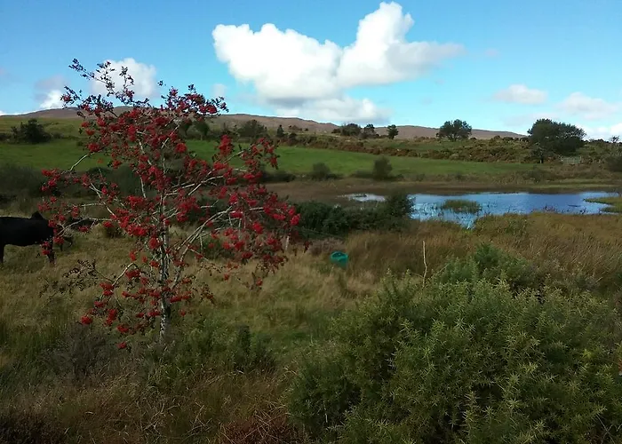 Willowfarmhouse Milford
