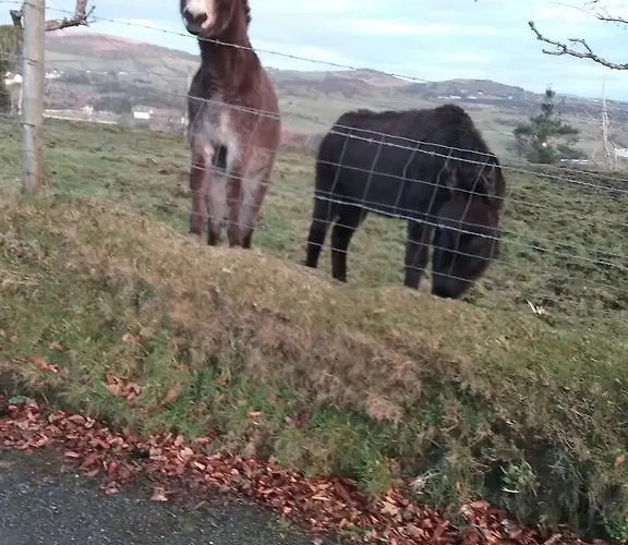 Dom wakacyjny Willowfarmhouse *